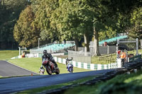 Advanced Group Orange Bikes